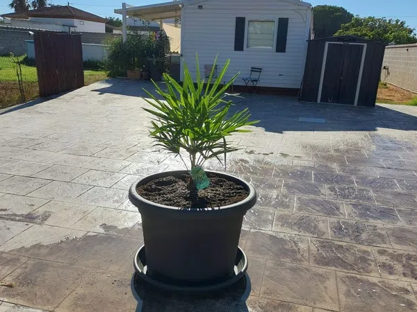 Casa independiente en camino del sotillo s/n - Foto 3