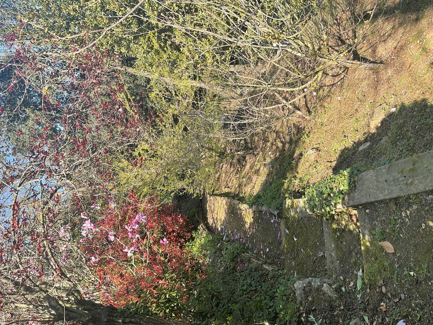 Casa independiente en calle de Magarola, 1 - Foto 11