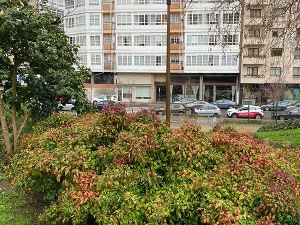 Piso en camino Corgo, 2 - Foto 18