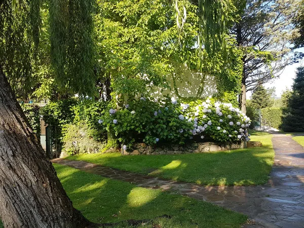 Dúplex en avenida Felipe II, 2 - Foto 38