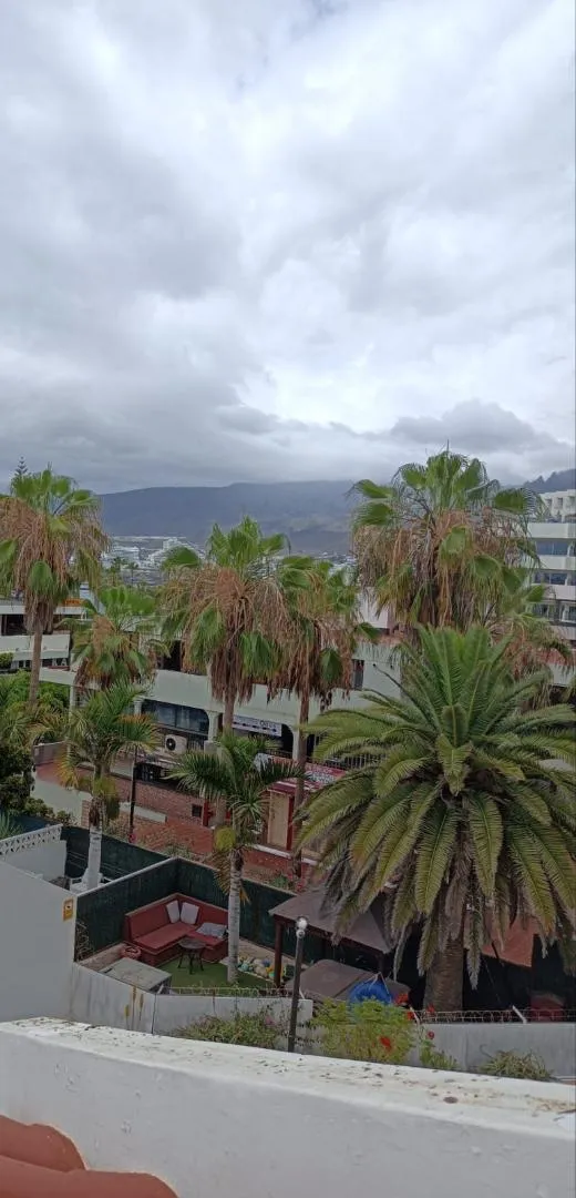 Piso en  Avenida Rafael Puig Lluvina 32 - Foto 15