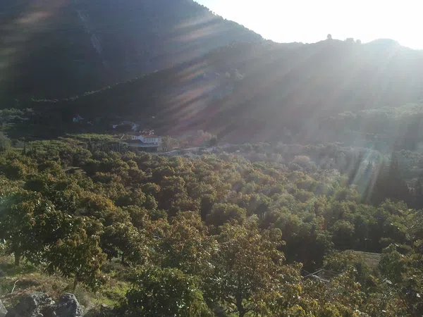 Finca rústica en Lugar Albuqueria, 1 - Foto 2