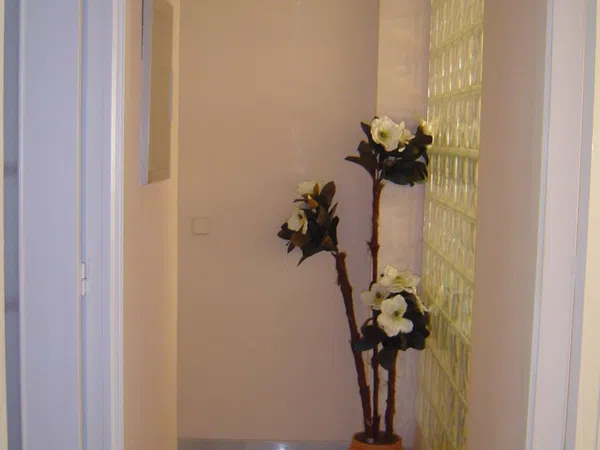 Piso en Calle Juan Pablos, 8 -b, Felipe II - Bueno Monreal - Foto 4