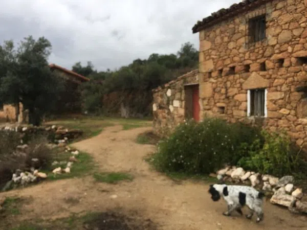 Finca rústica en Las Planas s/n - Foto 36