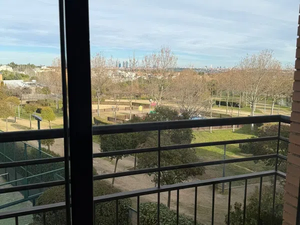 Dúplex en Calle Peñalara, 4, Zona norte - Foto 1