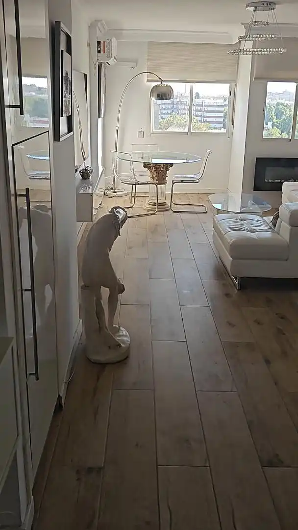 Piso en  Avenida de la Paz 83 - Foto 10