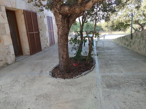 Casa o chalet independiente en Ma-2201 s/n, Pollença, Pollença - Foto 12