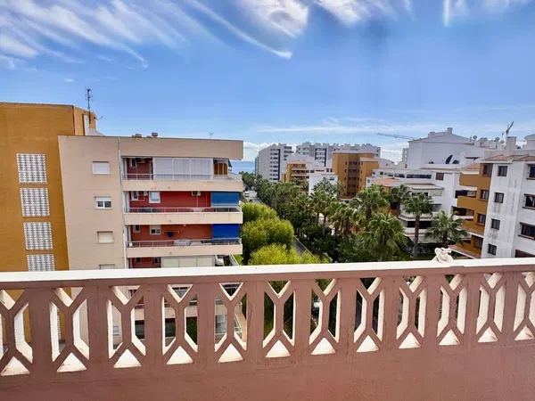 Piso en Calle Rocio, 1, Punta Prima, Punta Prima - Foto 21