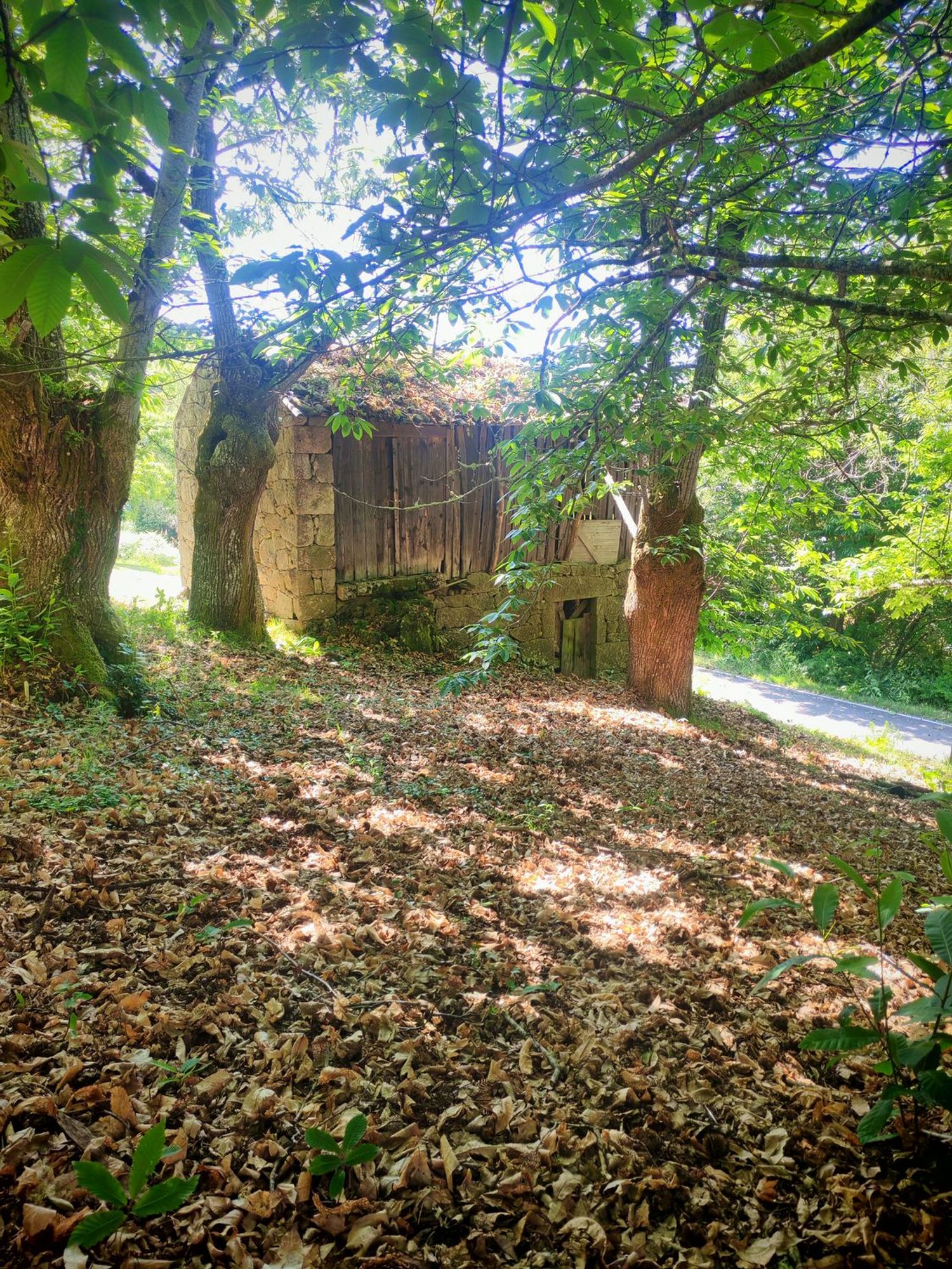 Casa de pueblo en Sacardebois, 605 Ou - Foto 17