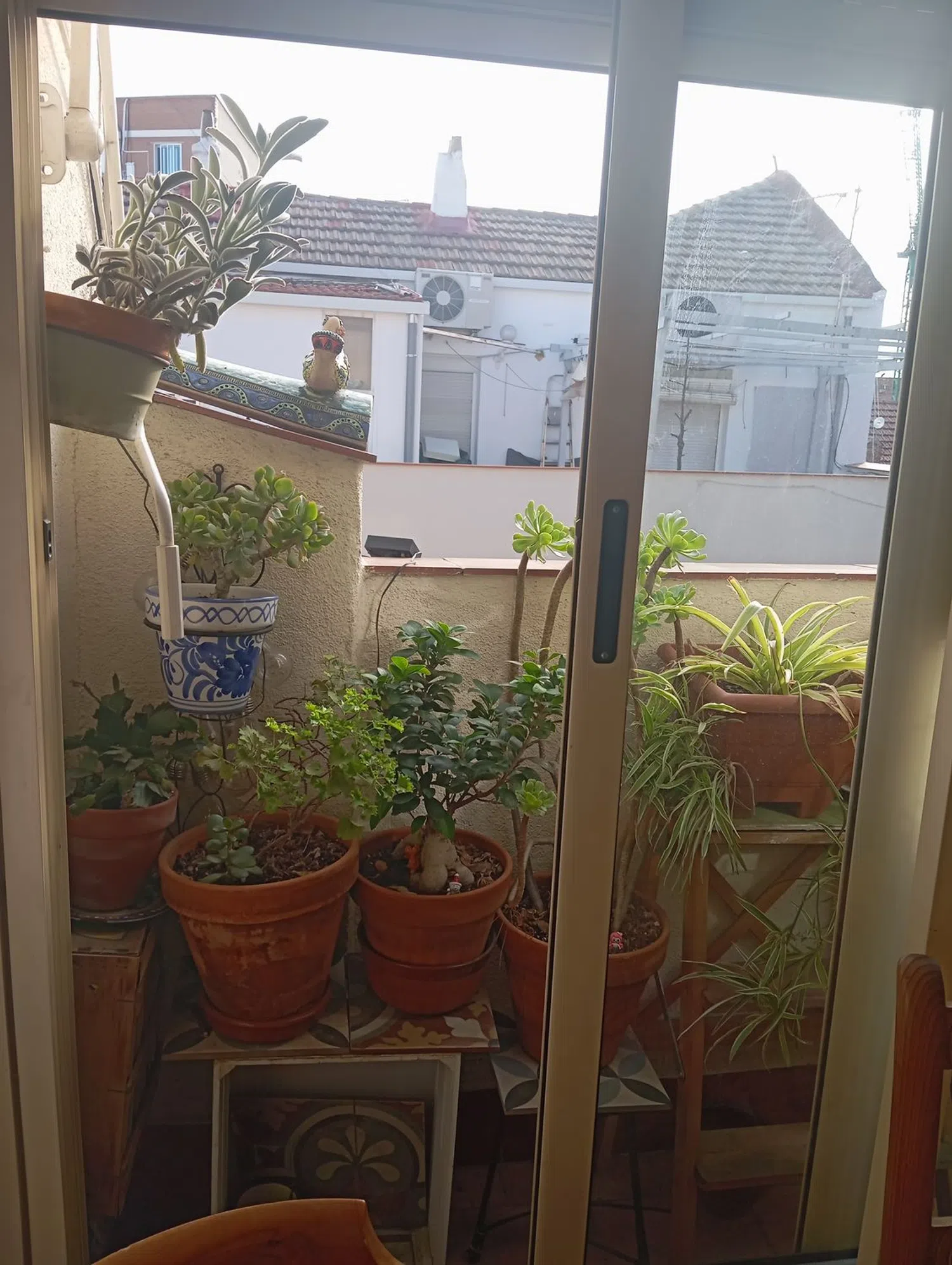 Ático en calle de la paloma, 10 - Foto 5