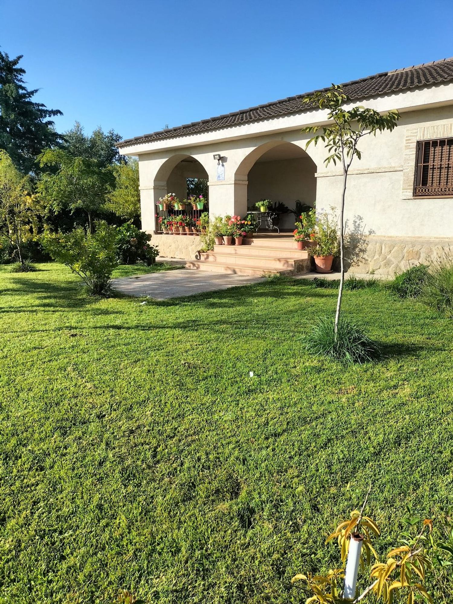 Casa o chalet independiente en Ronda de las Encinas, 115 - Foto 4