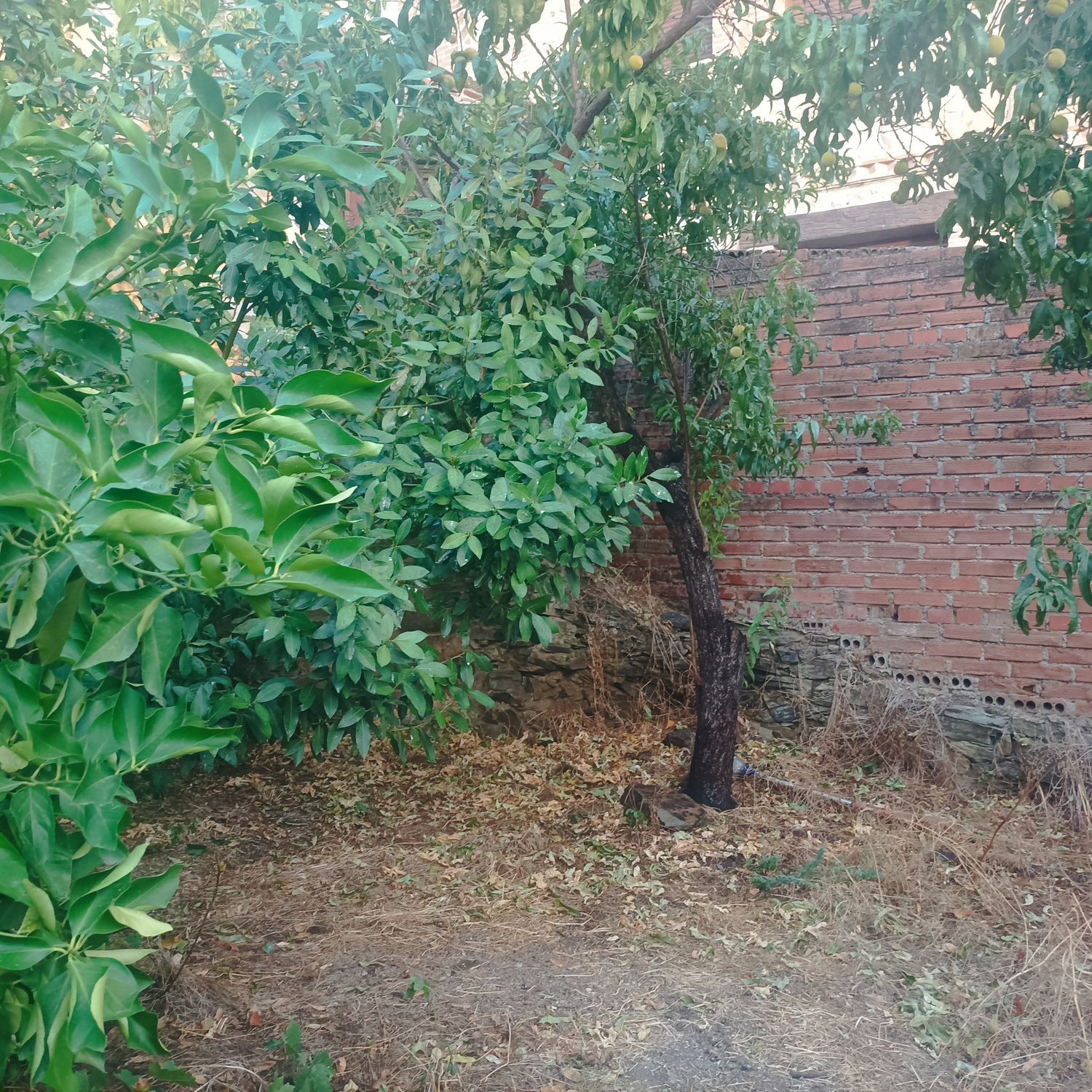 Casa de pueblo en Calle Peligro, 15 - Foto 2
