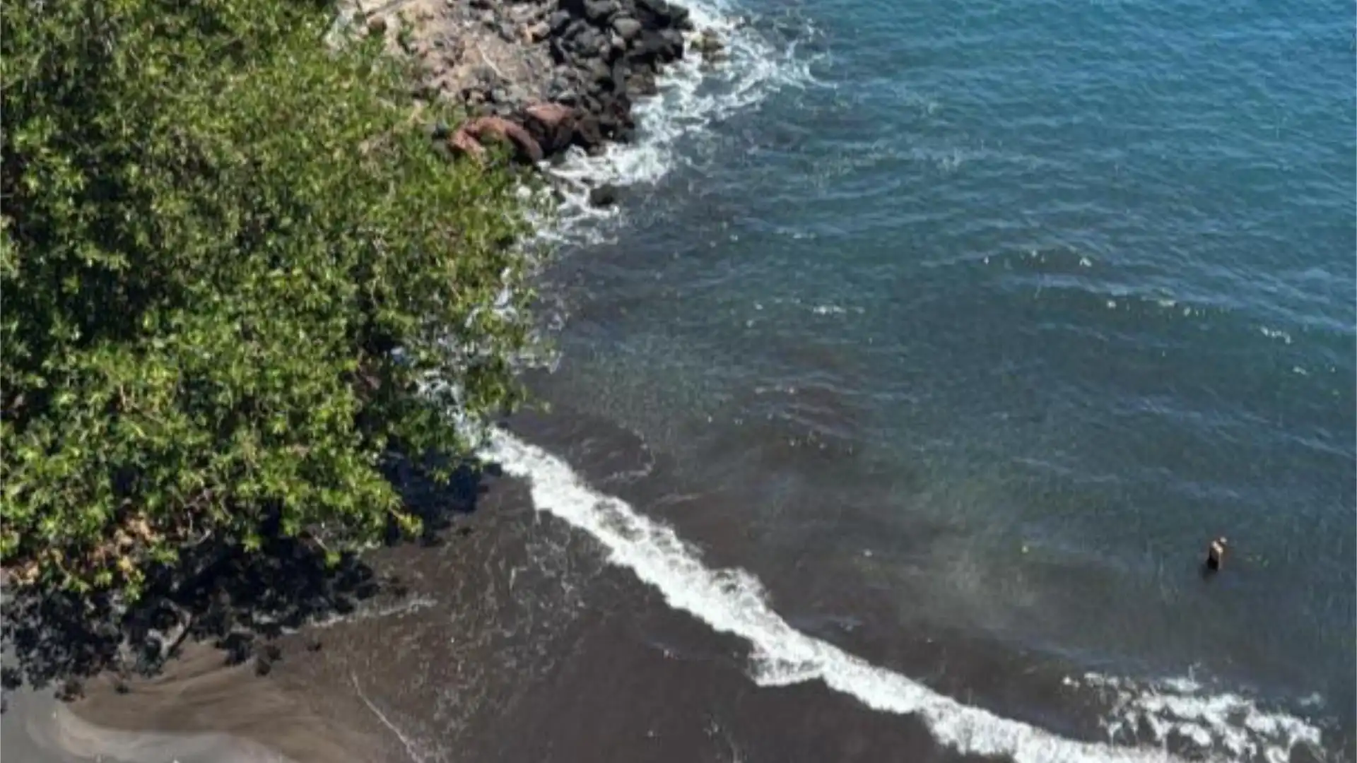 Piso en  Carretera de las Gaviotas 1 - Foto 1