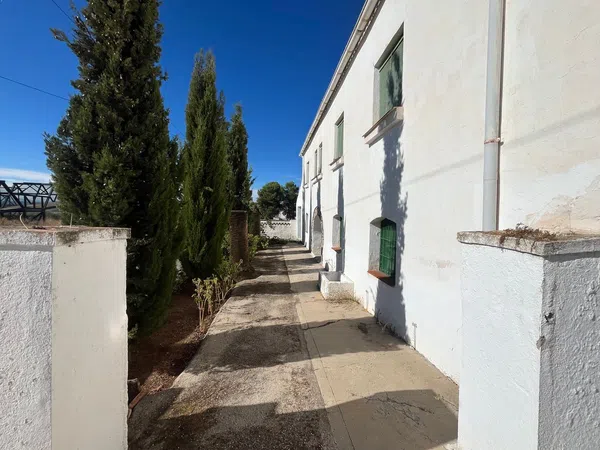 Casa o chalet independiente en Camino de la Tortilla s/n, La Zarzuela-San José-Belén, La Zarzuela-San José-Belén - Foto 4