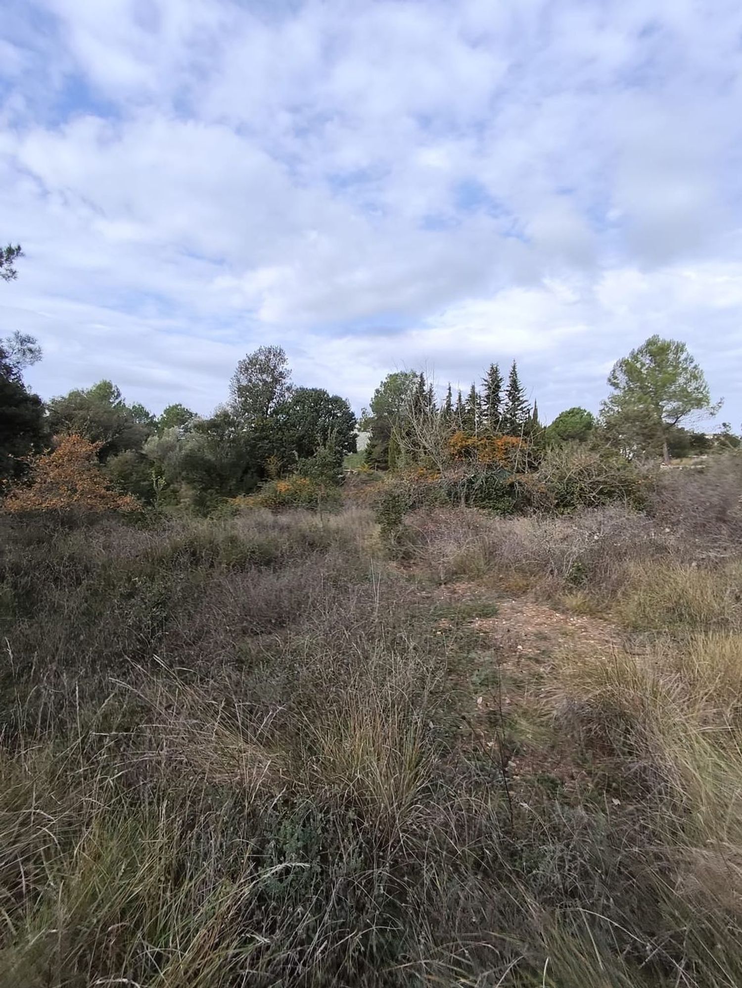 Finca rústica en Vall de sant Marc, la torrussolla s/n - Foto 18