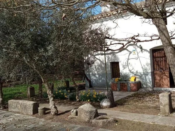 Finca rústica en Camino de la Huerta Bastida s/n - Foto 3