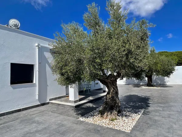 Casa independiente en calle de la Cepa, 9 - Foto 2