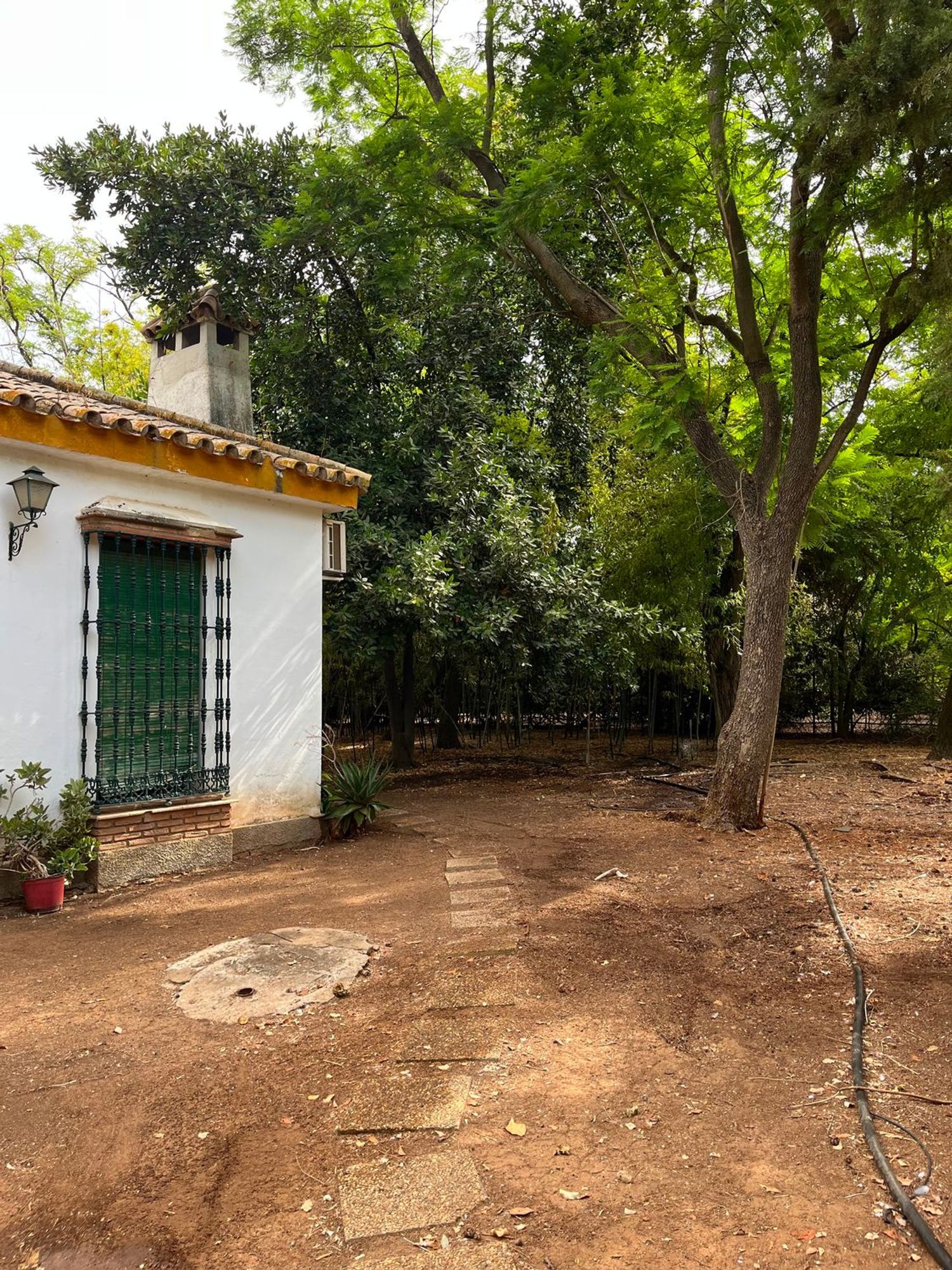 Casa o chalet independiente en Urbanizacion Atalaya s/n - Foto 14