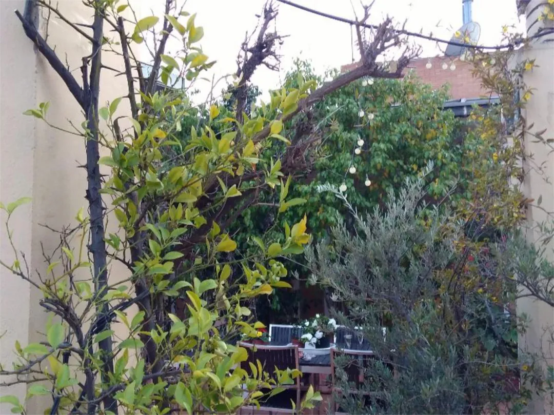 Piso en  Calle Rastro 22 - Foto 3