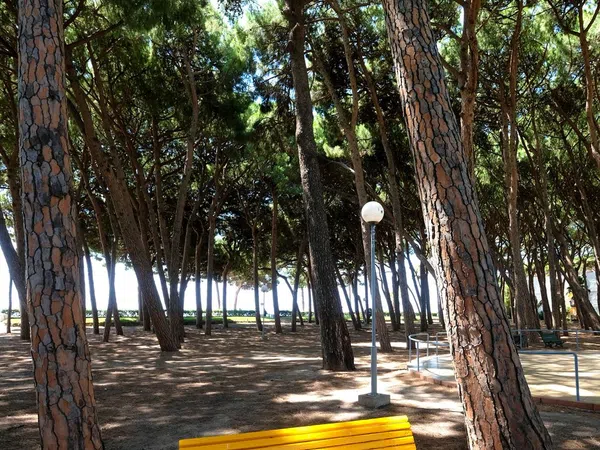 Piso en Avenida de la Diputació, 78, Vilafortuny platja - Foto 16
