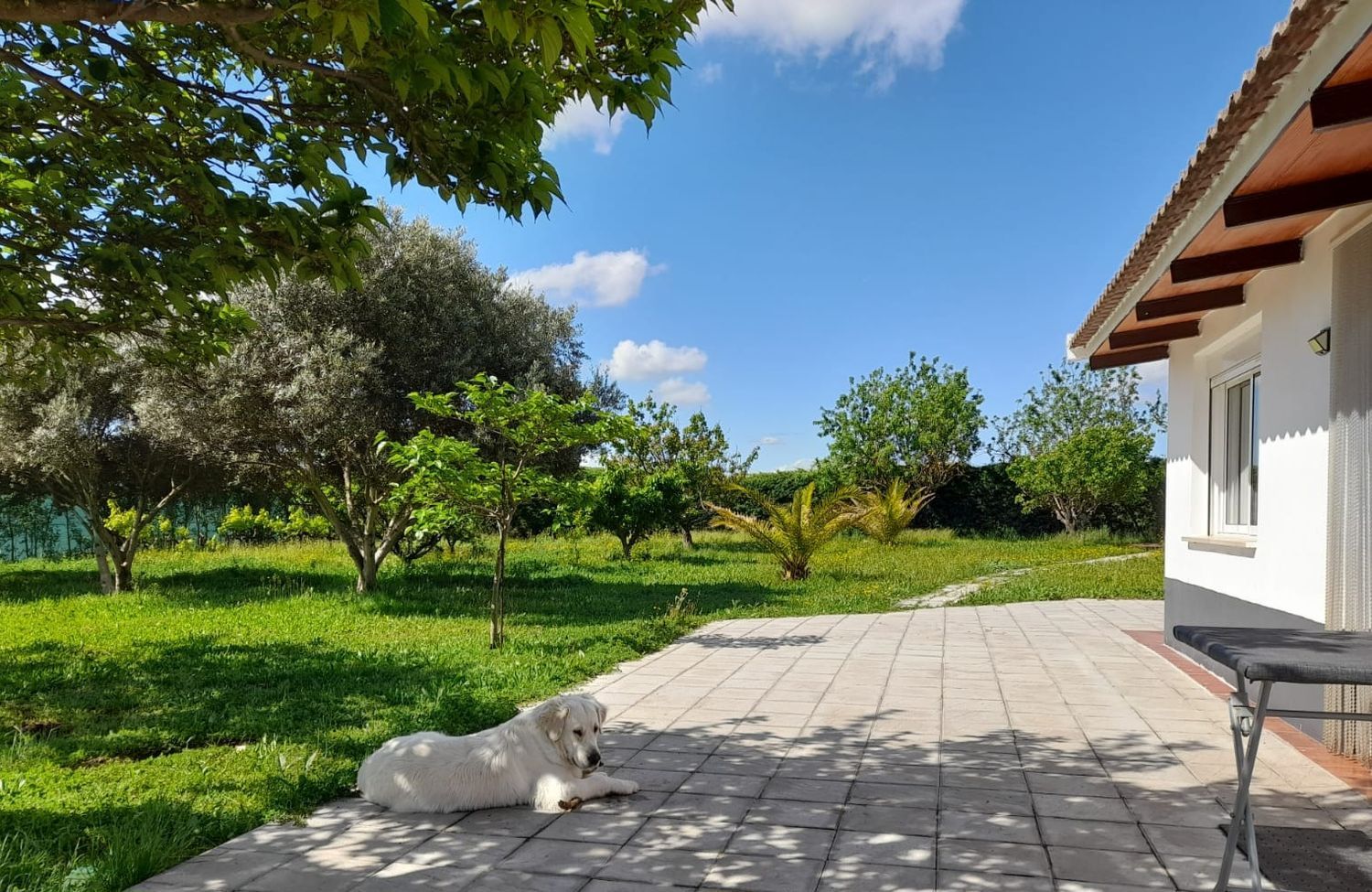 Finca rústica en Avenida Nuestra Señora del Villar s/n - Foto 14