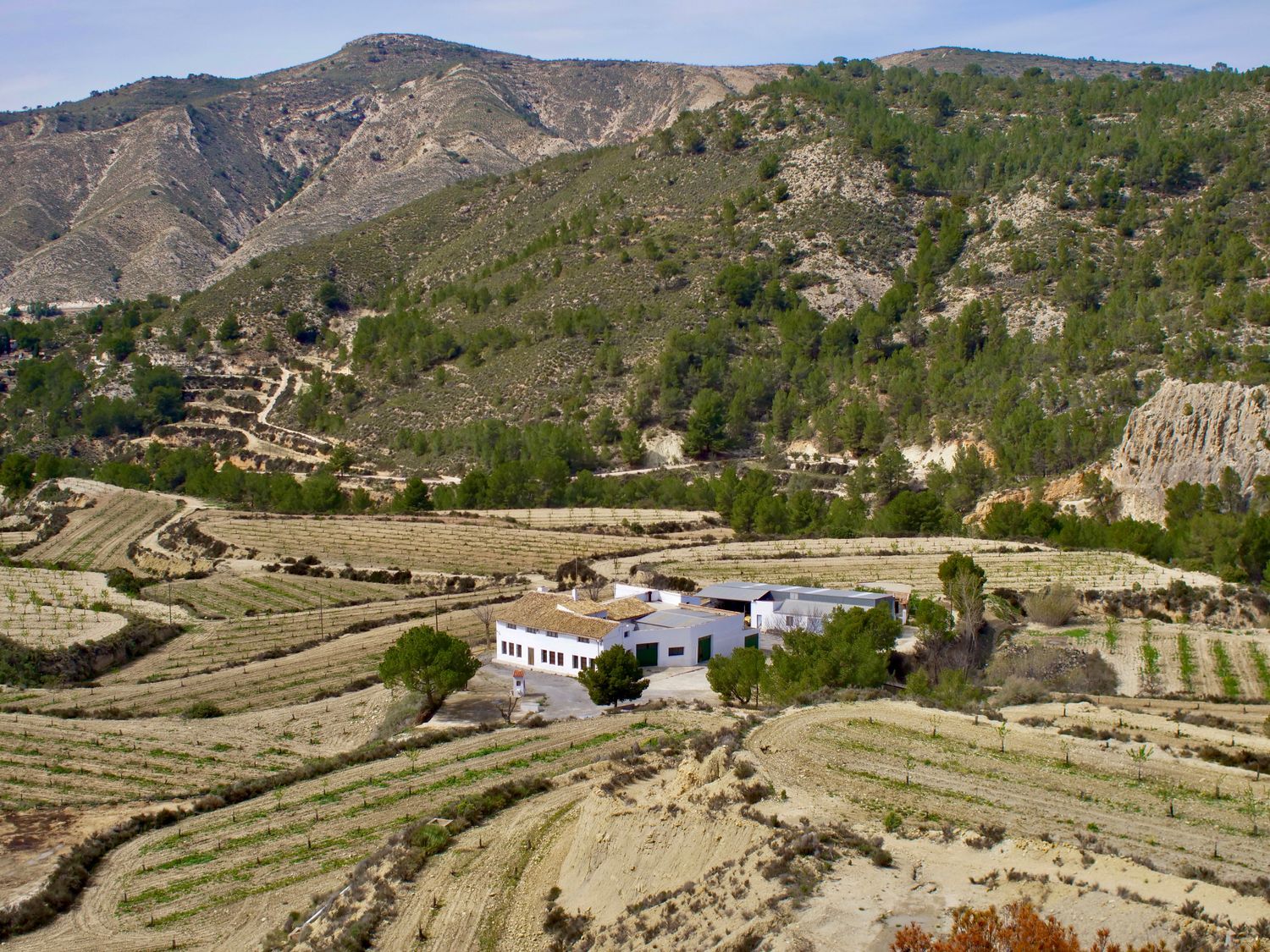 Casa independiente en Partida Almadrava, 1 - Foto 35