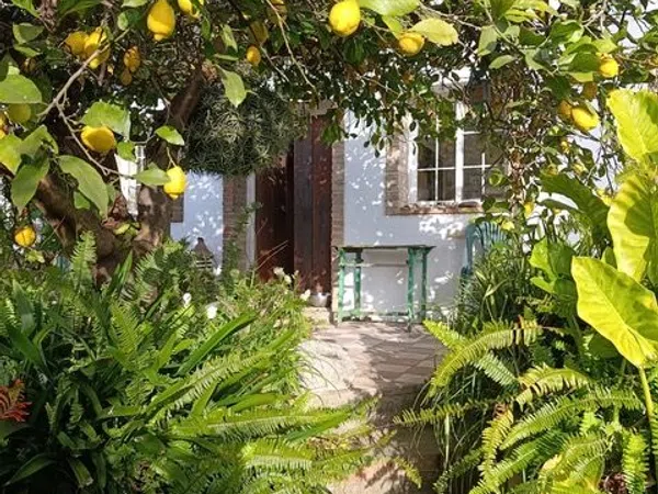 Estudio en Calle Rincón, 8 - Foto 3