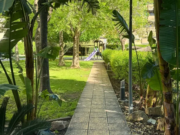 Piso en calle Marina Alta, 4 - Foto 3