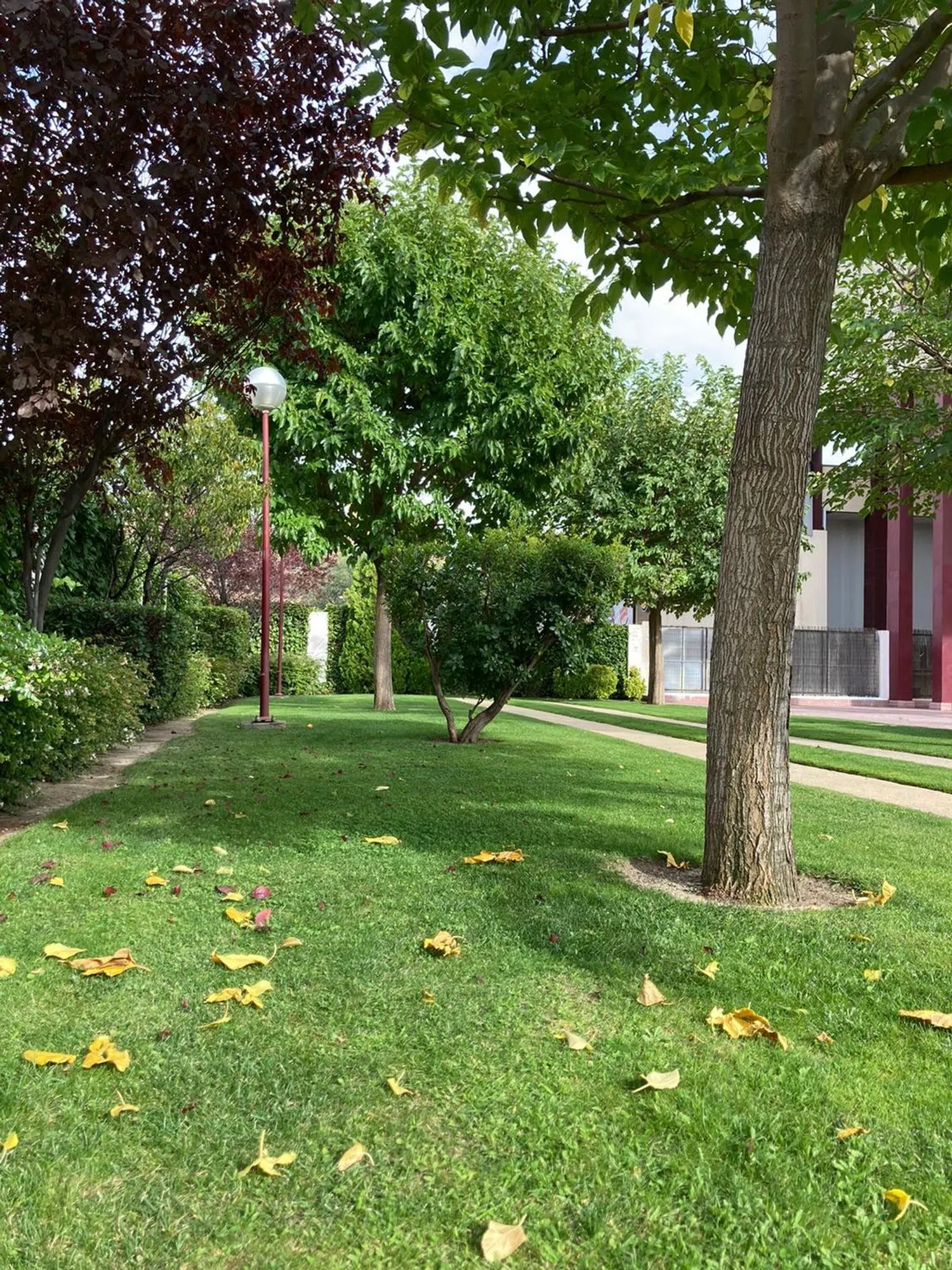 Piso en calle de Eduardo Barreiros, 11 - Foto 27