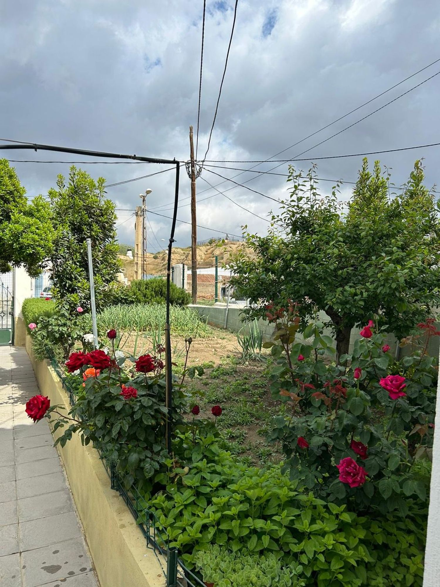 Casa de pueblo en Calle Fuente Mejías, 55 - Foto 3