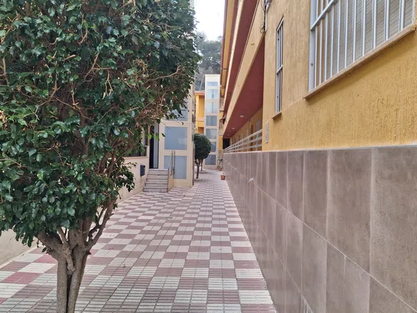 Piso en Calle Geraneos, 6 - Foto 5