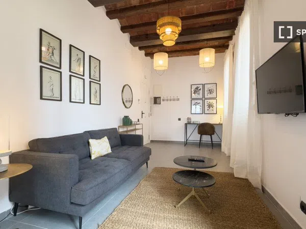 Estudio en Passatge de Mas de Roda, El Poblenou - Foto 5