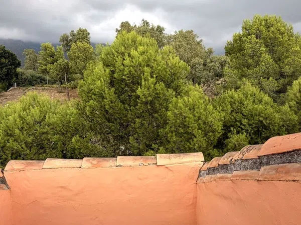 Dúplex en Arrabal la Caridad, 4 UrbanizacionCostaNagellesIII, La Carolina-Guadalpín - Foto 4