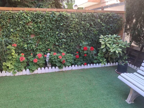 Chalet adosado en Paseo de los Ruiseñores, 38, Ruiseñores - Foto 20