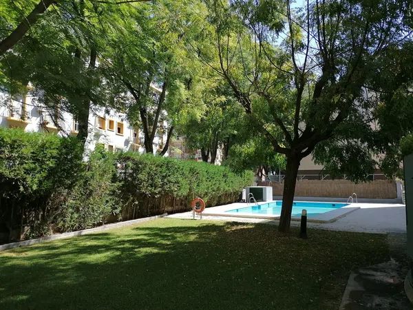 Piso en Avenida de Jerez, 11, Bami - Pineda - Foto 1