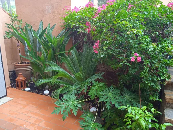 Piso en Urbanization Paraiso de la Bahia, 10 - Foto 16