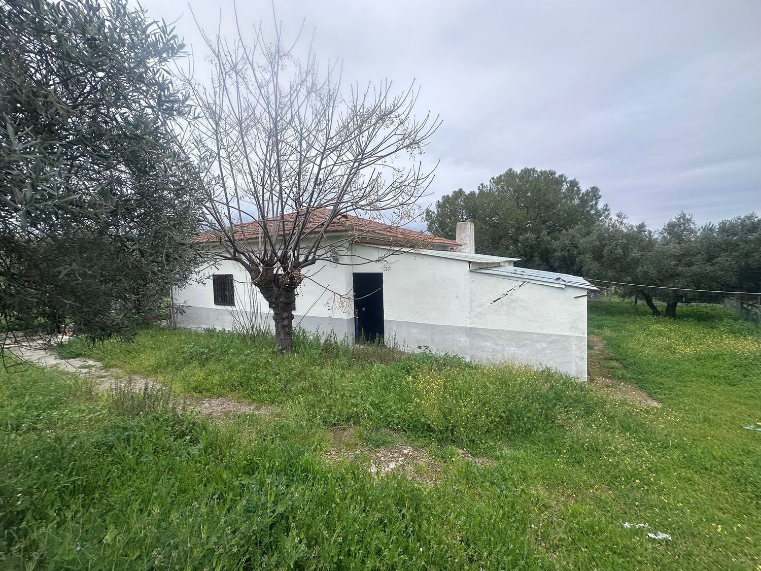 Finca rústica en Calle Pozoblanco s/n - Foto 23