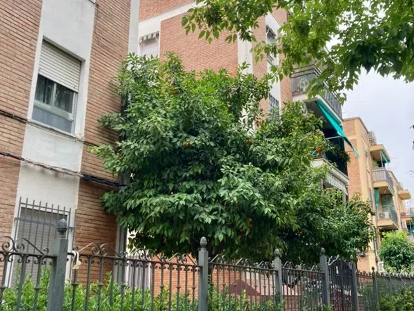 Piso en Barrio Santa Rosa - San José - Foto 11