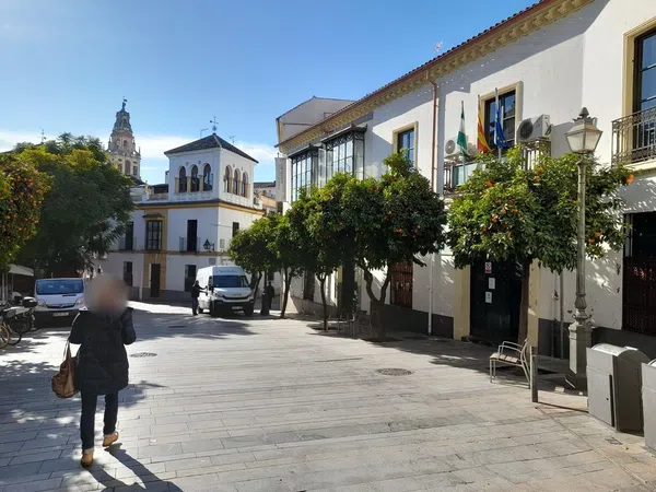 Casa o chalet independiente en Judería - San Basilio - Foto 1