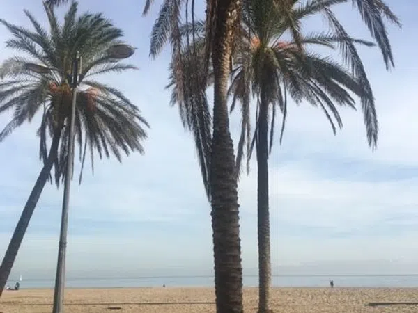 Piso en avenida Mare Nostrum, 15 - Foto 24