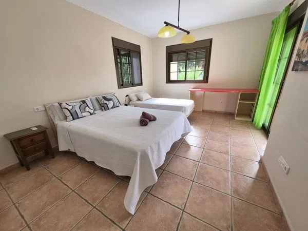 Casa o chalet independiente en Calle Paraíso, 8, El Pinar - Palacio de Congresos, El Pinar - Palacio de Congresos - Foto 14