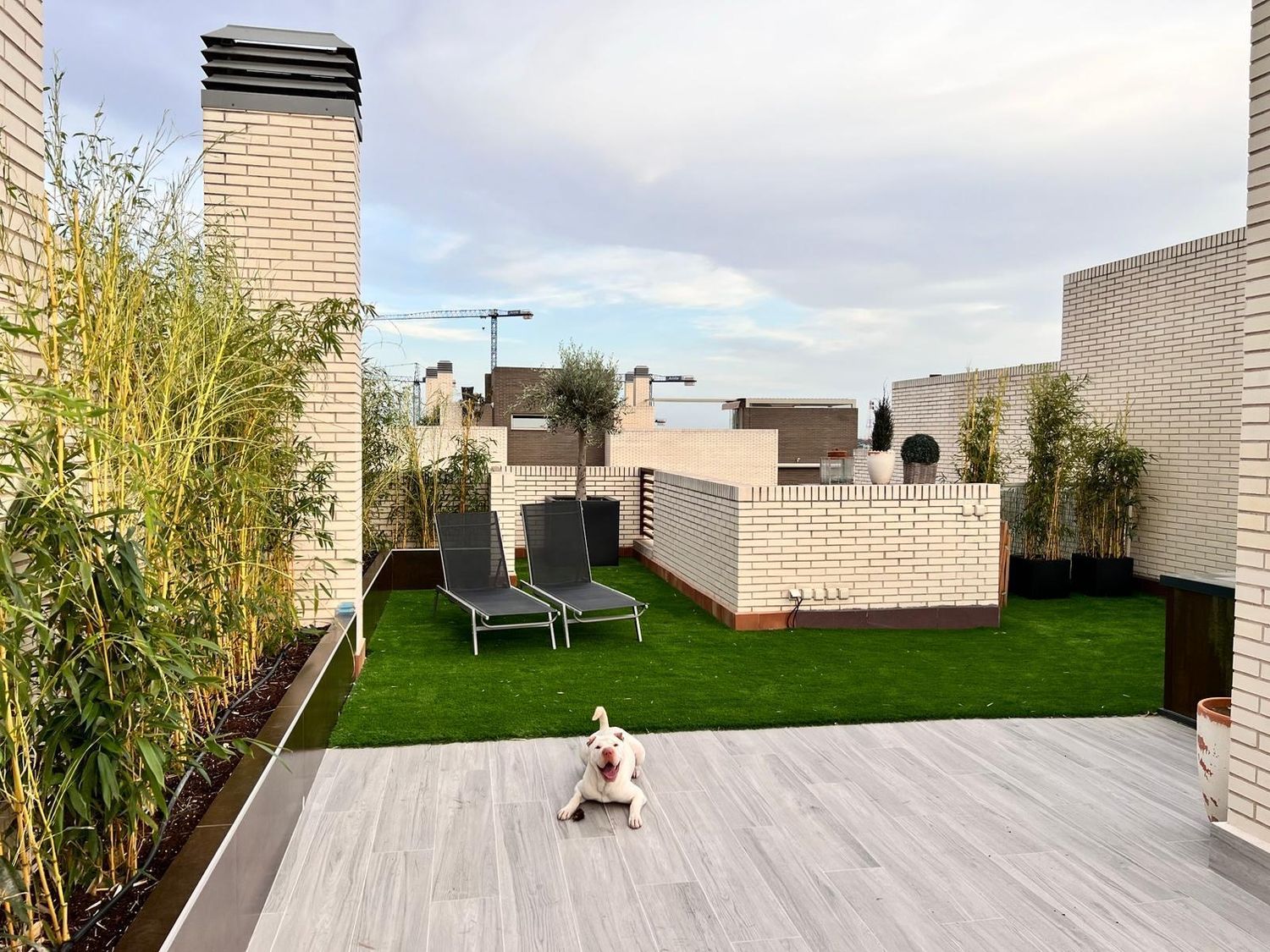 Dúplex en Calle Vista Alegre, 1, Somosaguas - Foto 5