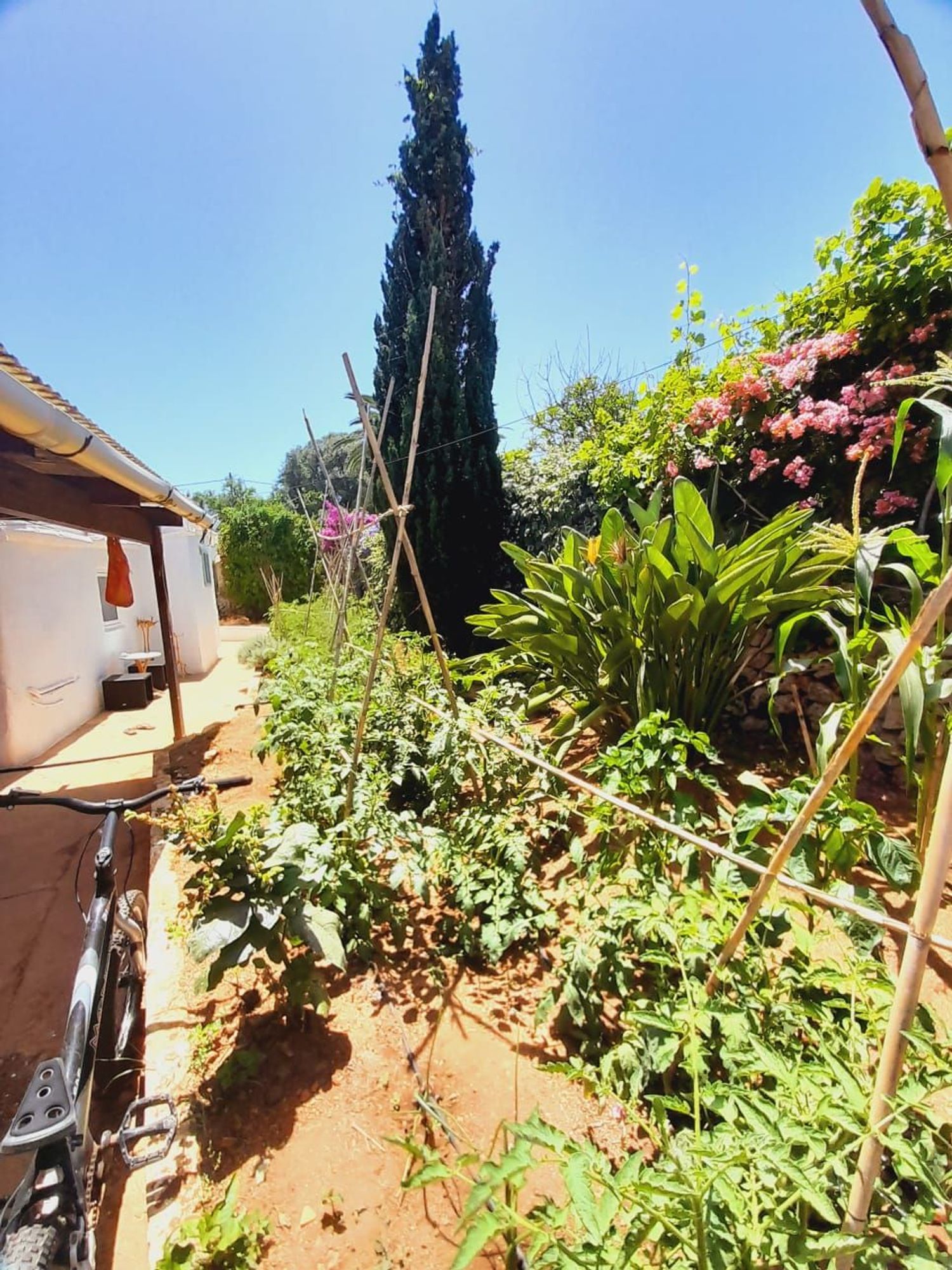 Finca rústica en Camino de Binifadet, 14 - Foto 4