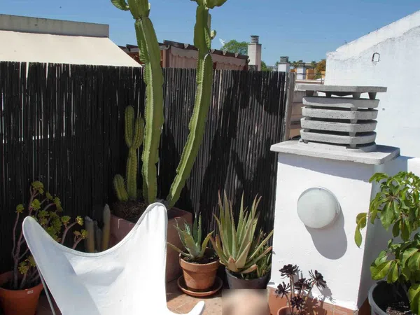 Dúplex en calle de Torreblanca, 16 - Foto 18