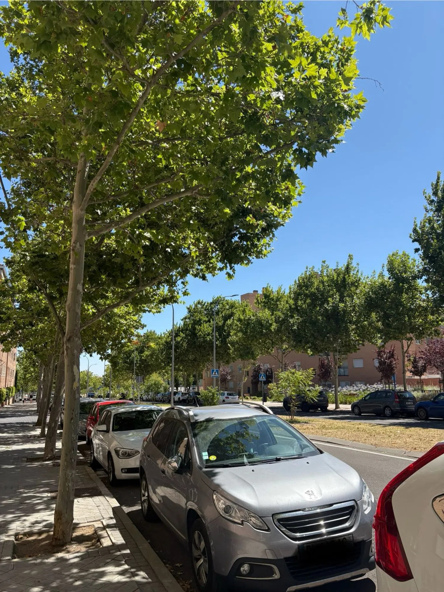 Piso - Foto 18