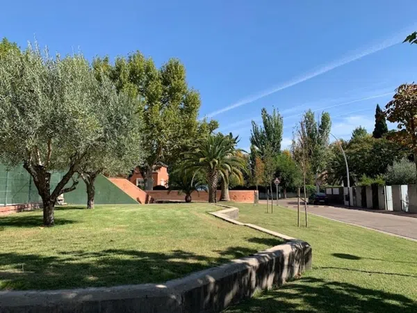 Chalet adosado en El Pilar - La Estación, El Pilar - La Estación - Foto 8