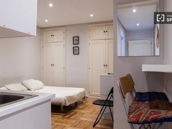 Estudio en Calle de Zurbano, Almagro - Foto 2