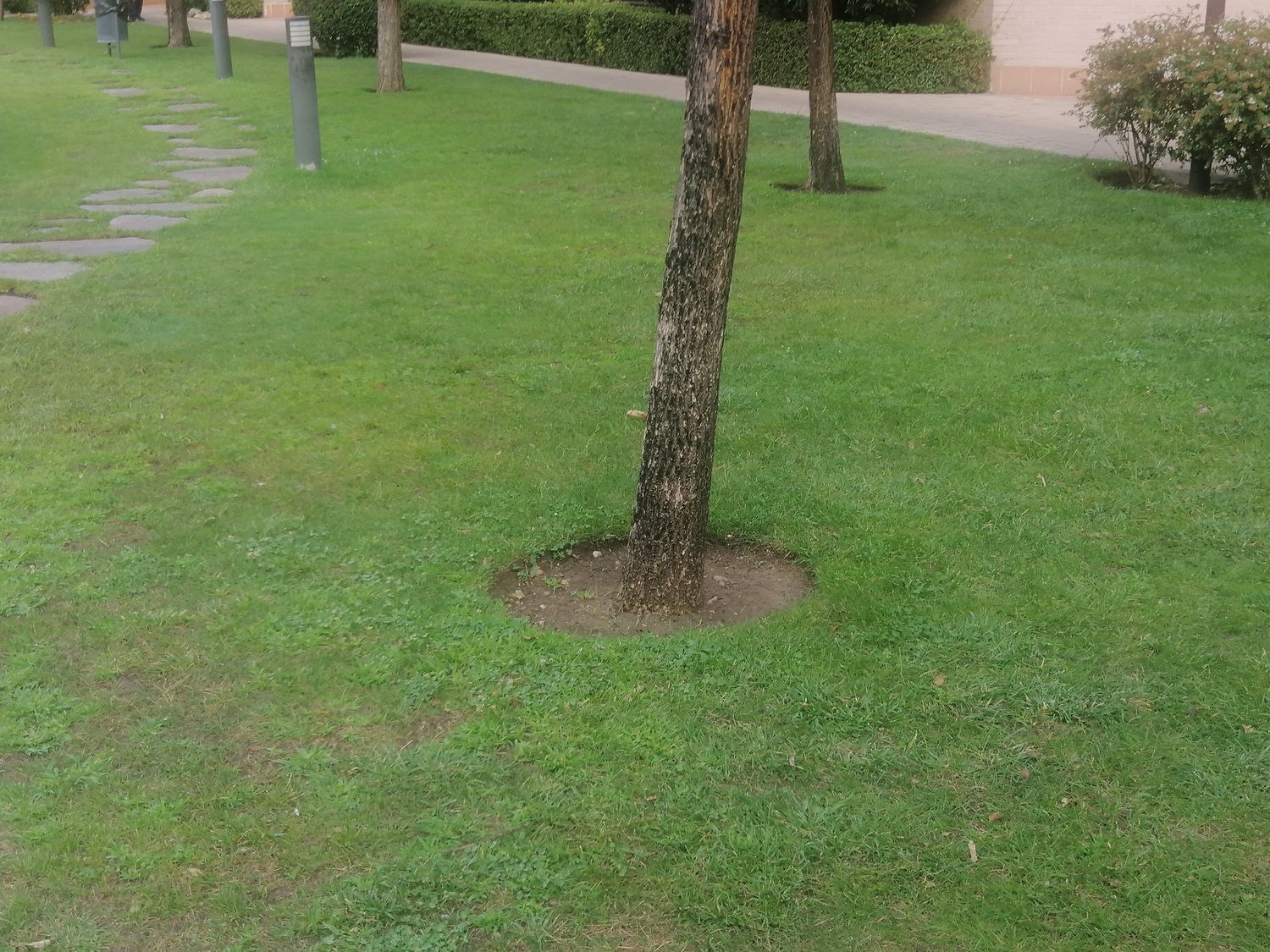 Piso en Calle de Bulgaria, 1, San Isidro - Los Almendros, San Isidro - Los Almendros - Foto 29