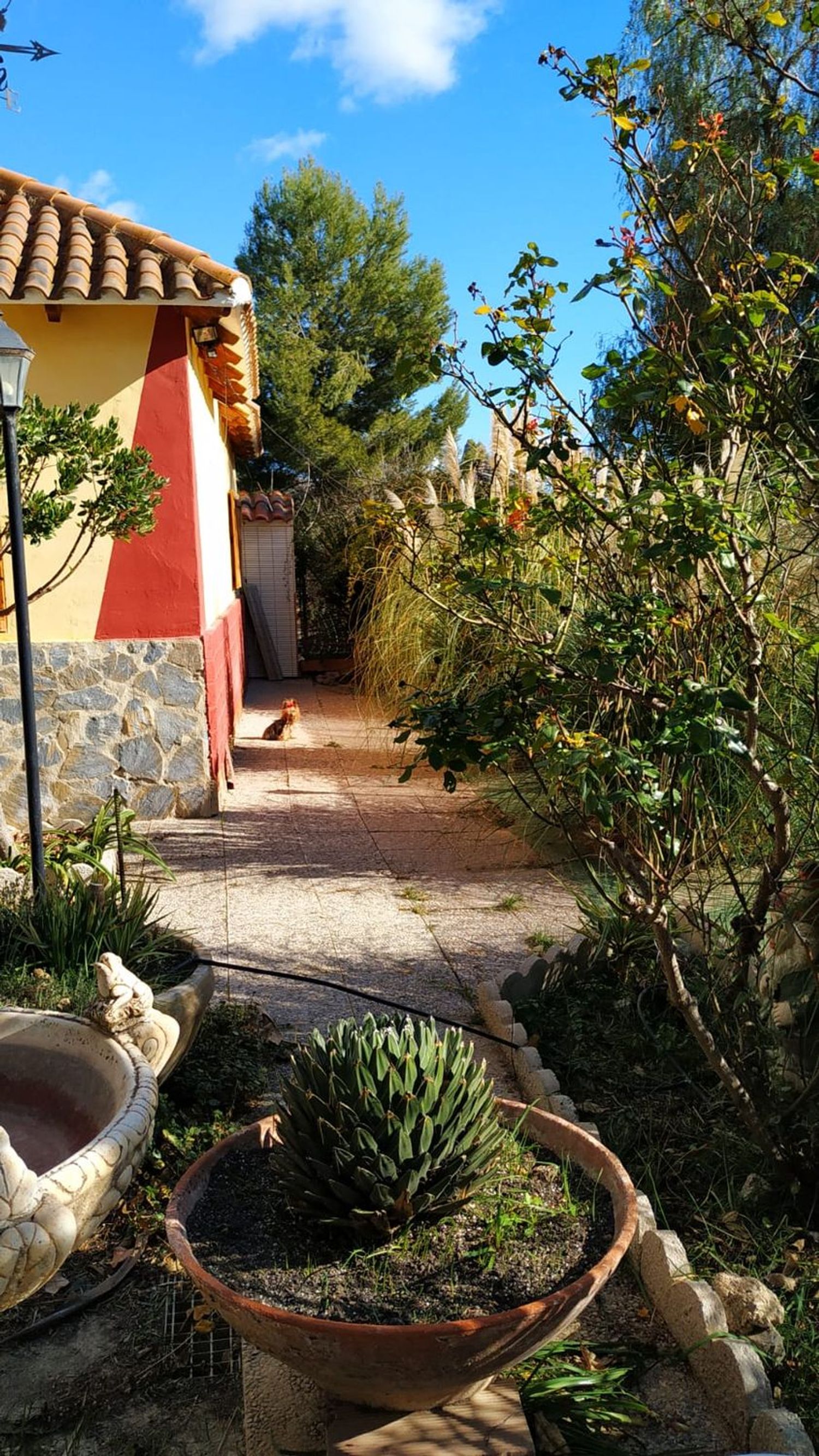 Casa rural en Ricote s/n - Foto 6