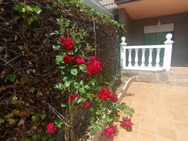 Chalet adosado en Joaquín Fernández Cuervo, 16 - Foto 18